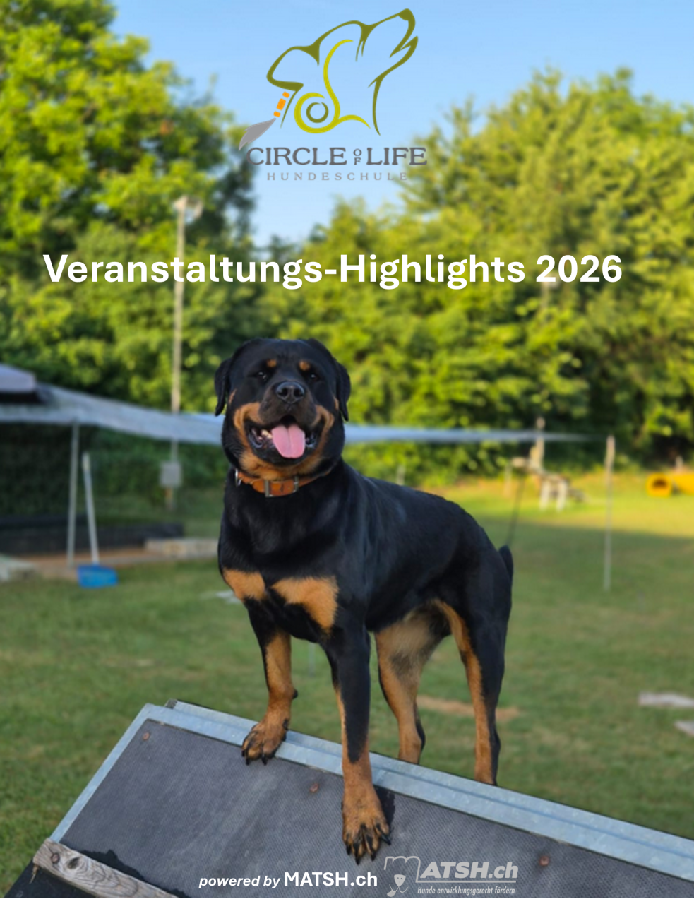 Veranstaltungs-Highlights 2026