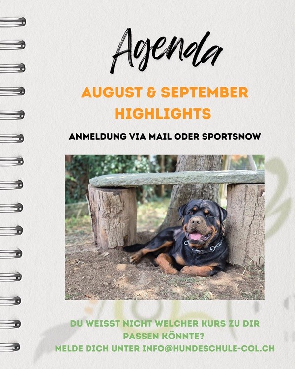 August-September HIGHLIGHTS 2026