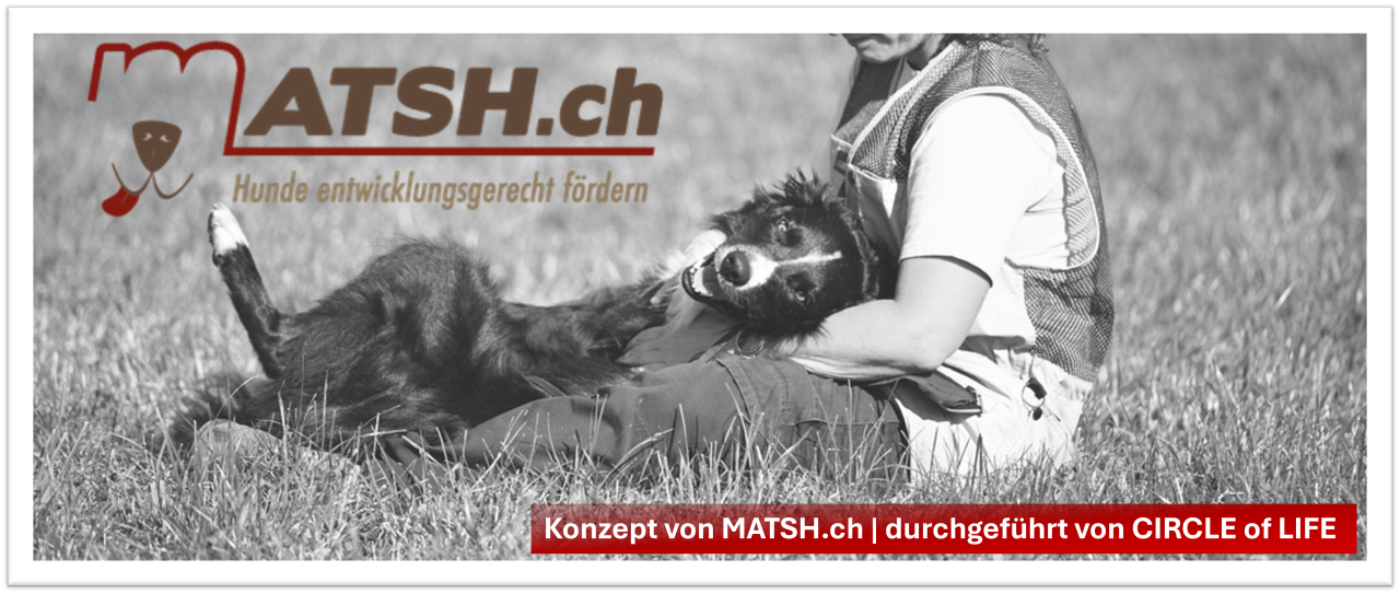 MATSH.ch Infoveranstaltung 2026